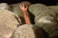 Immagine tratta dal film BLACK SHEEP - PECORE ASSASSINE