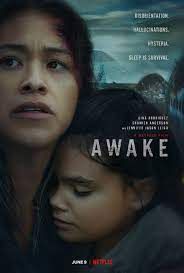 locandina del film AWAKE