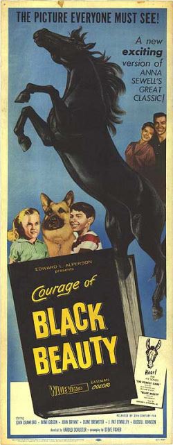 locandina del film BLACK BEAUTY (1933)