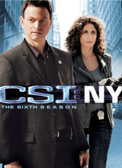 locandina del film CSI NY - STAGIONE 6