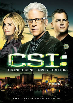 locandina del film CSI - STAGIONE 13