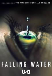 locandina del film FALLING WATER - STAGIONE 1