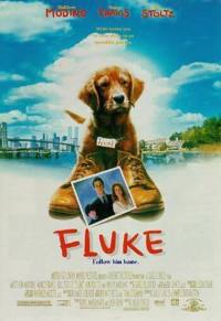 locandina del film FLUKE