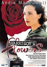 locandina del film HARRISON'S FLOWERS