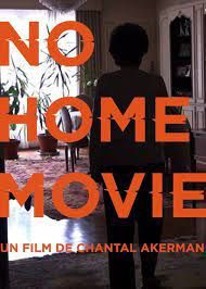 locandina del film NO HOME MOVIE