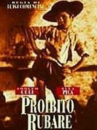 locandina del film PROIBITO RUBARE