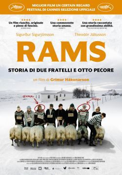 locandina del film RAMS - STORIA DI DUE FRATELLI E OTTO PECORE