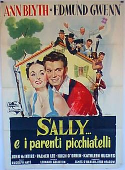 locandina del film SALLY E I PARENTI PICCHIATELLI