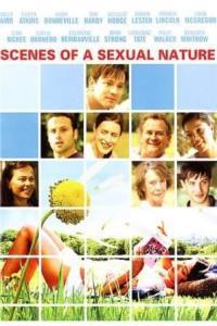 locandina del film SCENES OF A SEXUAL NATURE