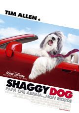 locandina del film SHAGGY DOG - PAPA' CHE ABBAIA... NON MORDE