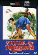 locandina del film SORBOLE... CHE ROMAGNOLA