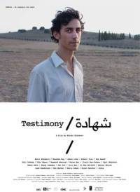 locandina del film TESTIMONY (2011)