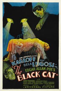locandina del film THE BLACK CAT (1934)