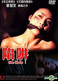 locandina del film THE HOLE (1997)