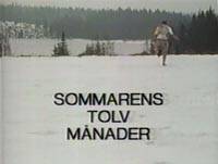 locandina del film THE TWELVE MONTHS OF SUMMER