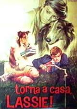 locandina del film TORNA A CASA, LASSIE!