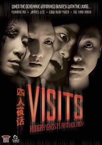 locandina del film VISITS