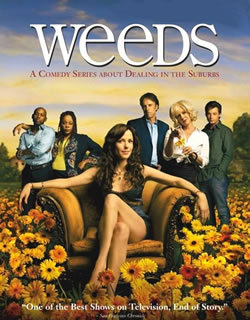 locandina del film WEEDS - STAGIONE 2