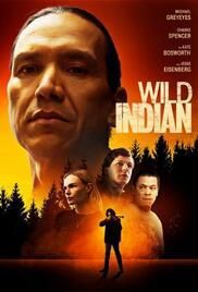 locandina del film WILD INDIAN
