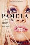 Locandina del film PAMELA, A LOVE STORY