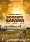Locandina del film IL COLORE DELLA LIBERTA' - GOODBYE BAFANA