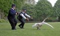 Immagine tratta dal film HOT FUZZ