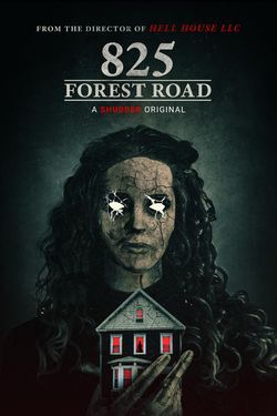 locandina del film 825 FOREST ROAD