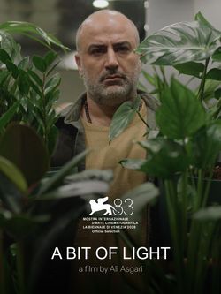 locandina del film A BIT OF LIGHT