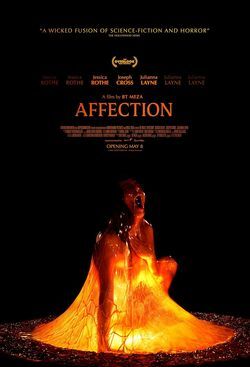locandina del film AFFECTION