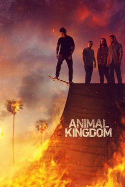 locandina del film ANIMAL KINGDOM - STAGIONE 1