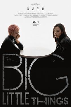 locandina del film BIG LITTLE THINGS