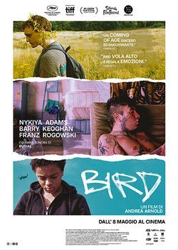 locandina del film BIRD (2024)