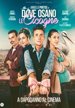 locandina del film DOVE OSANO LE CICOGNE