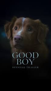 locandina del film GOOD BOY (2025)