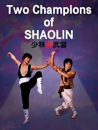 locandina del film I DUE CAMPIONI DELLO SHAOLIN
