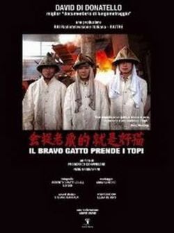 locandina del film IL BRAVO GATTO PRENDE I TOPI