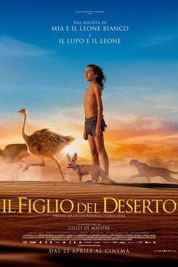 locandina del film IL FIGLIO DEL DESERTO