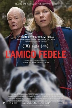locandina del film L'AMICO FEDELE