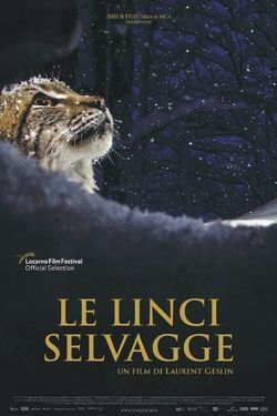 locandina del film LE LINCI SELVAGGE