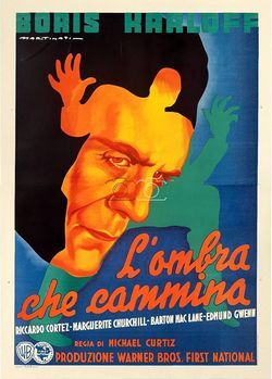 locandina del film L'OMBRA CHE CAMMINA