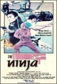 locandina del film NINJA LA CONQUISTA DEL MONDO