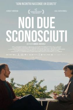 locandina del film NOI DUE SCONOSCIUTI (2026)