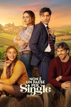 locandina del film NON E' UN PAESE PER SINGLE