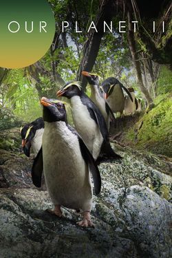 locandina del film IL NOSTRO PIANETA � STAGIONE 2