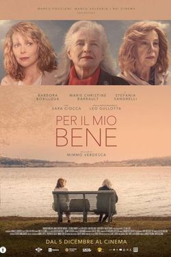 locandina del film PER IL MIO BENE