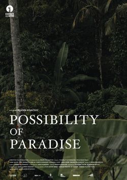 locandina del film POSSIBILITY OF PARADISE