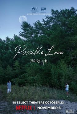 locandina del film POSSIBLE LOVE