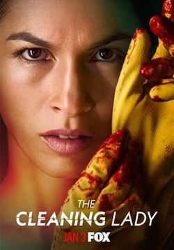 locandina del film THE CLEANING LADY - STAGIONE 1