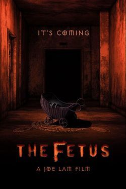 locandina del film THE FETUS