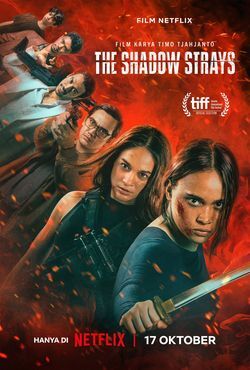 locandina del film THE SHADOW STRAYS